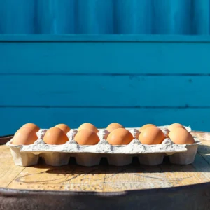 Lake Meadows pasture raised chicken eggs fresh delivery